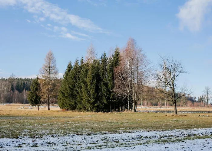 Alicjowka - Domek