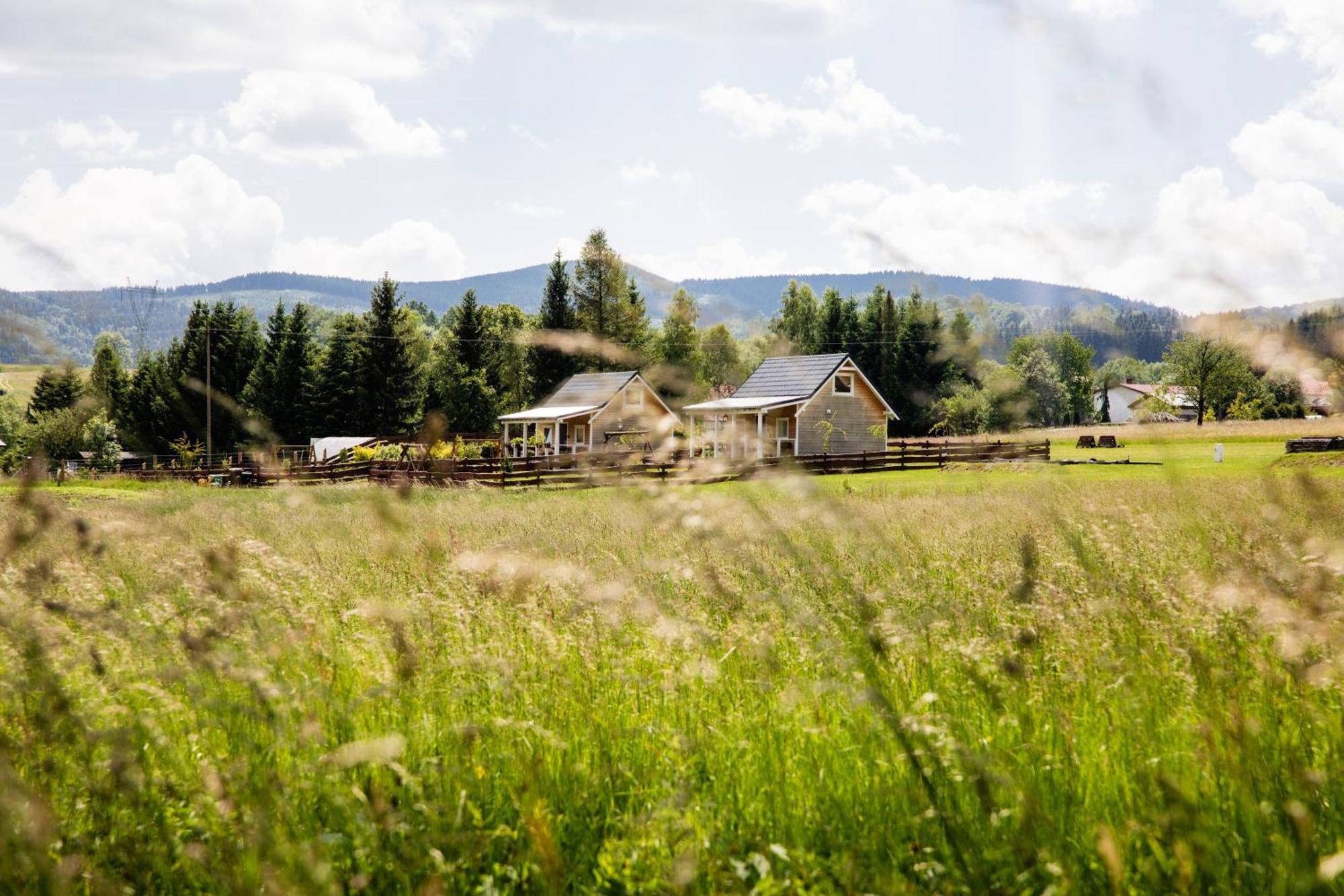 Alicjowka -