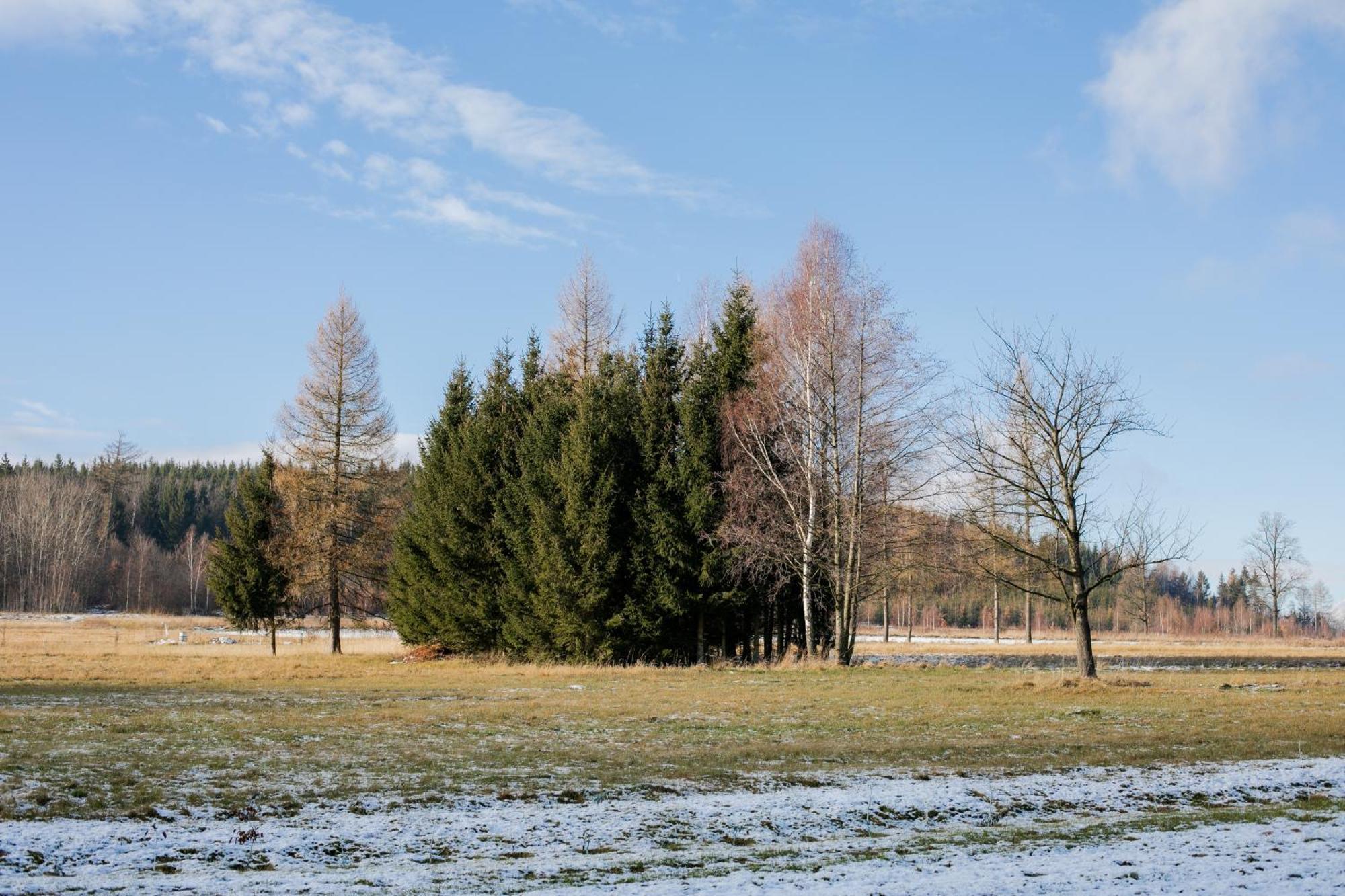Holiday home Alicjowka - Marciszow